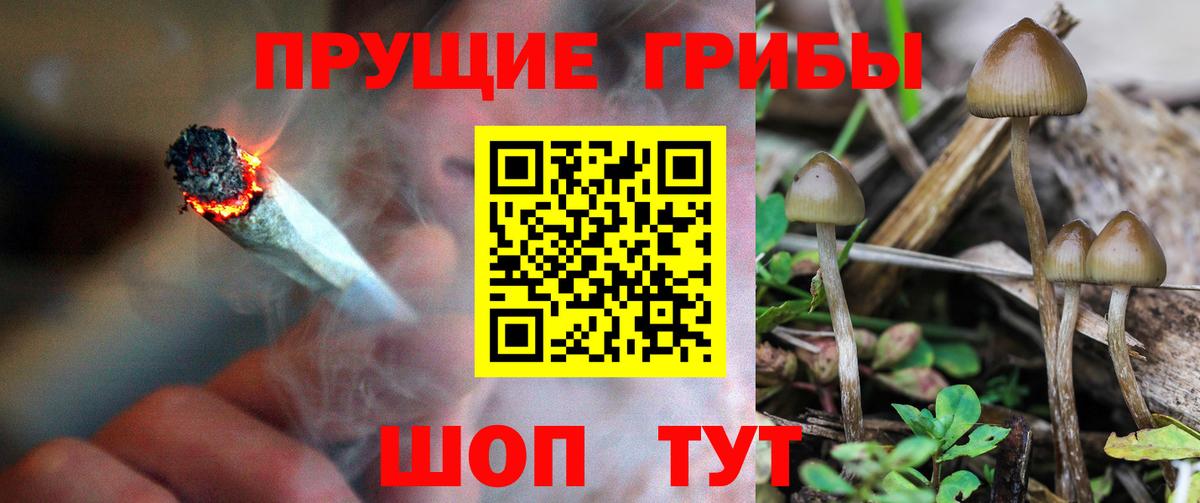 Галлюциногенные грибы GOLDEN TEACHER Джанкой