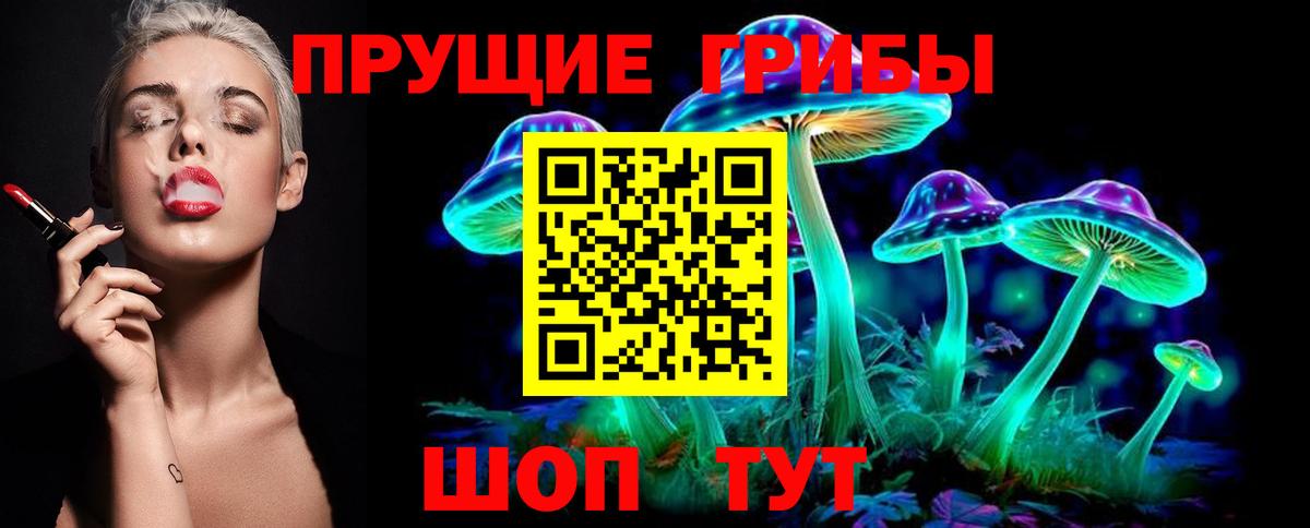 Джанкой  Псилоцибиновые грибы Psilocybe  Вход с VPN 